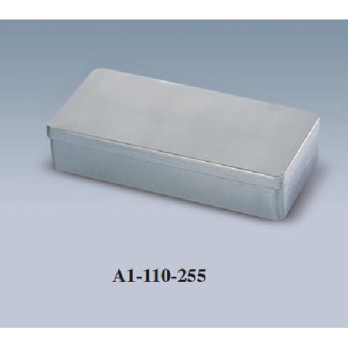 Instrumentu kaste sterilizācijas un uzglabāšanai 250x100x50 h mm